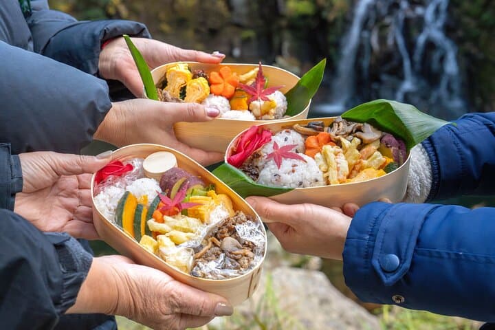 Private Bento-Making Hike to Akame 48 Waterfalls — Local Guide & Nunobiki Falls photo 6