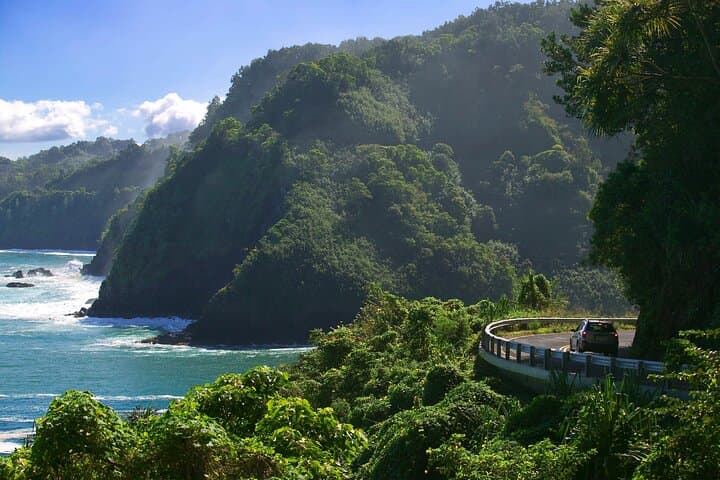 Private Road to Hāna Tour with a Local Hawaiian Guide — Twin Falls, Keʻanae & Waiʻanapanapa photo 5
