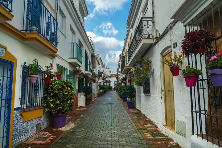 malaga-and-marbella-10-hour-private-tour-with-free-photoshoot photo 3