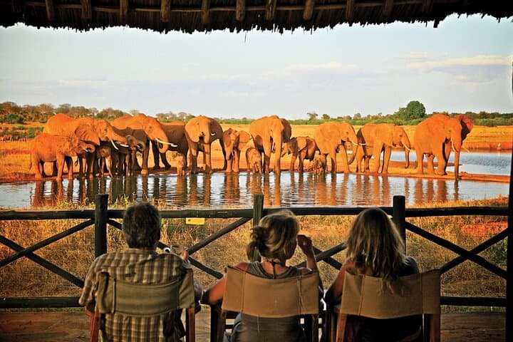 2-Night Tsavo East & West Safari from Mombasa — Game Drives, Lodges & Big Elephants photo 2