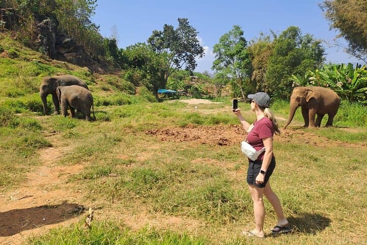 Chiang Mai Ethical Elephant Sanctuary, Wat Ban Den & Sticky Waterfall Day Tour photo 5