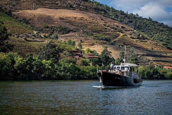 Luxury Douro Valley Wine Cruise and Estate Tasting from Porto photo 1
