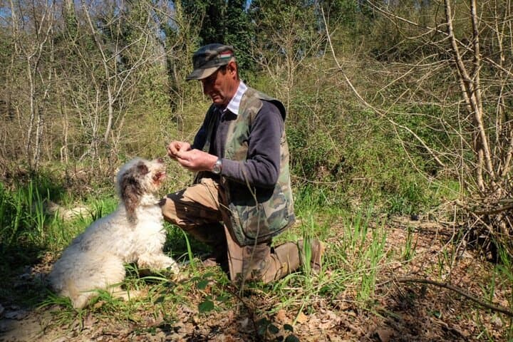 Private VIP Truffle Hunting Day Trip from Milan to Langhe photo 2