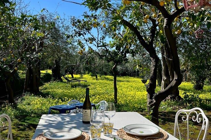 Sorrento Villa Cooking Class and Sommelier Wine Pairing by the Sea