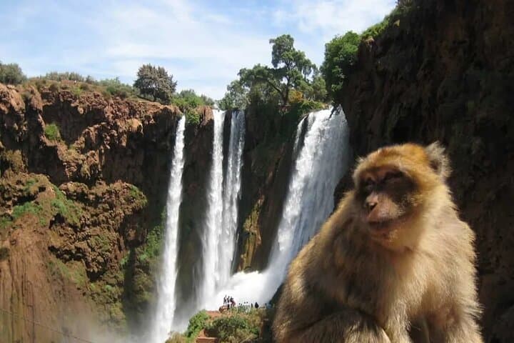 Ouzoud Waterfalls Full-Day Tour from Marrakech — Olive-Grove Trails, Monkeys & Boat Rides photo 5