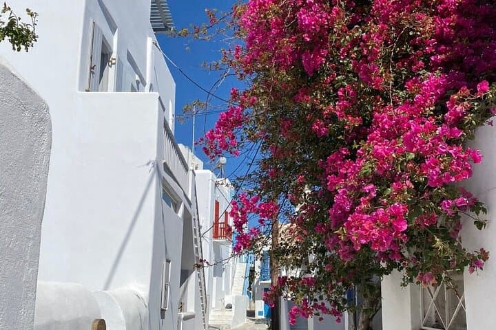 Private Mykonos Tour: Secret Spots, Beaches & Village Stories