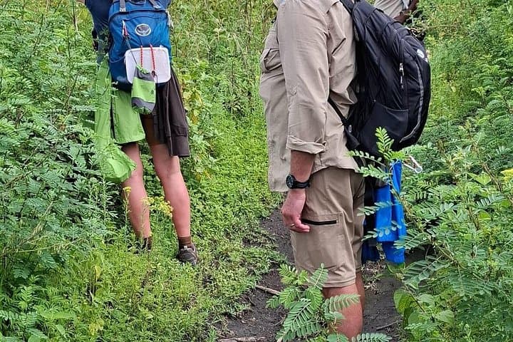 4-Day Midrange Tanzania Safari: Tarangire, Serengeti & Ngorongoro photo 4