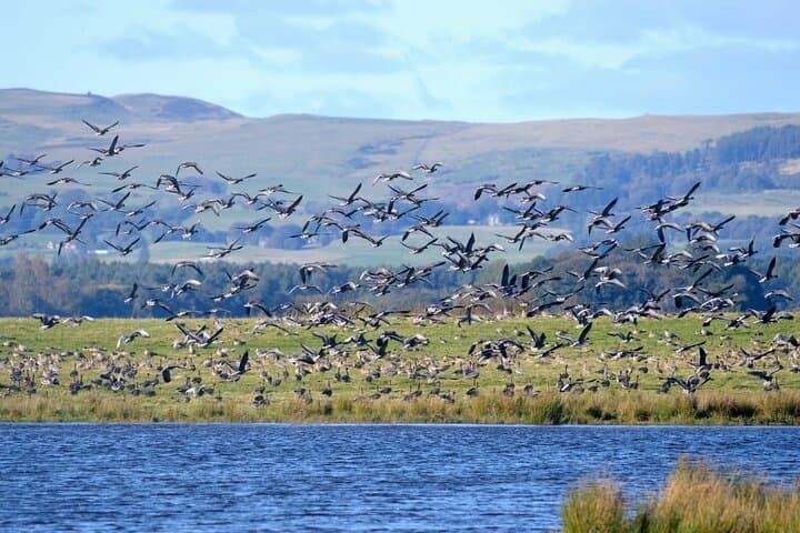 Electric E‑Bike Tour of Loch Leven: Small-Group Wildlife & History Ride