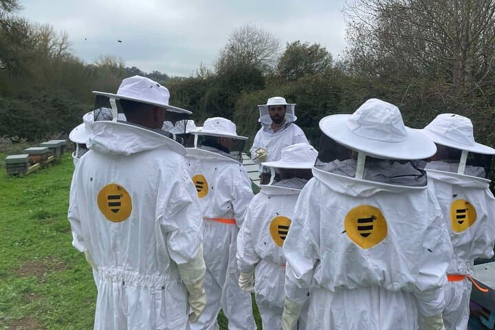 Evora Apiary Visit: Guided Beekeeping Tour and Honey Tasting photo 3