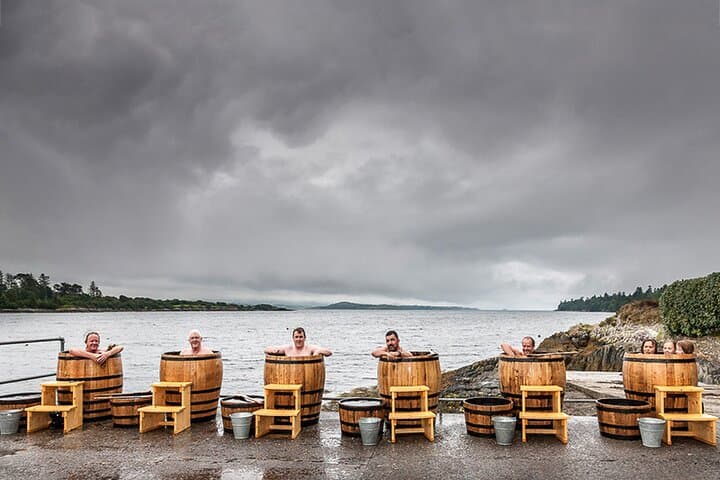 Cliffs of Moher & Seaweed Baths: Private Luxury Tour from Galway or Dublin