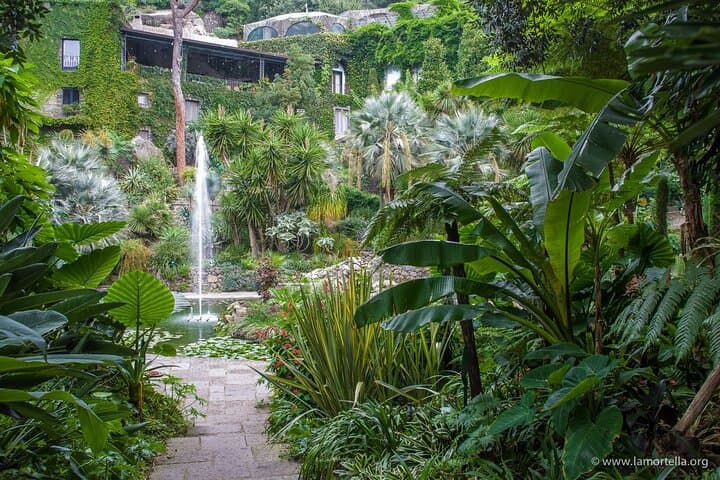 Giardini La Mortella: Guided Garden Tour in Forio, Ischia