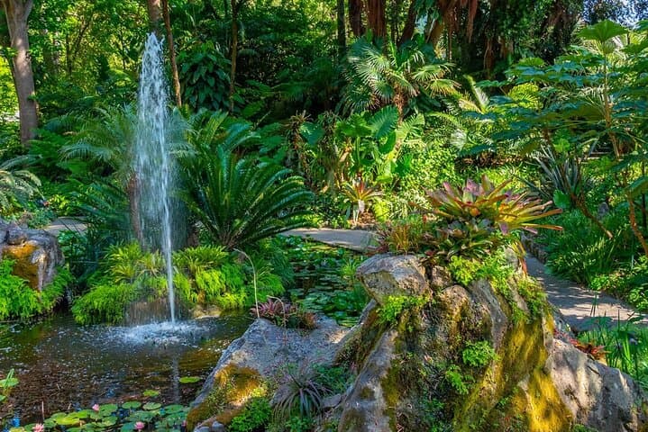 Giardini La Mortella: Guided Garden Tour in Forio, Ischia photo 4