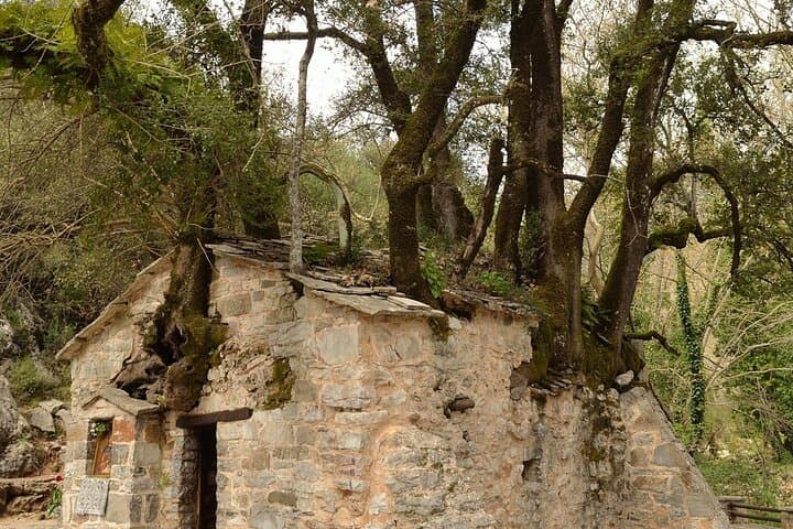 Agia Theodora Temple, Arcadia — The Church Where Trees Grow Through Stone