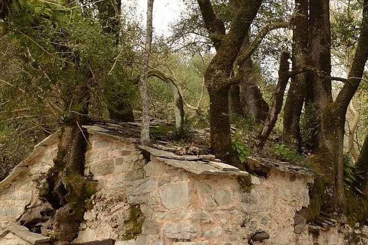 Agia Theodora Temple, Arcadia — The Church Where Trees Grow Through Stone photo 3