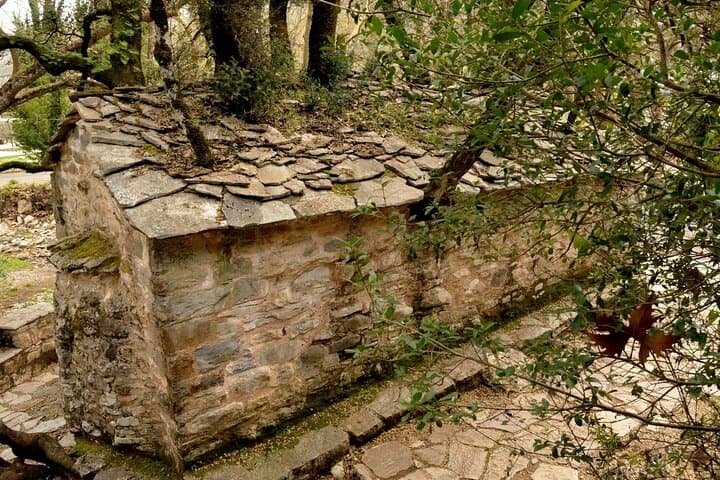 Agia Theodora Temple, Arcadia — The Church Where Trees Grow Through Stone photo 5
