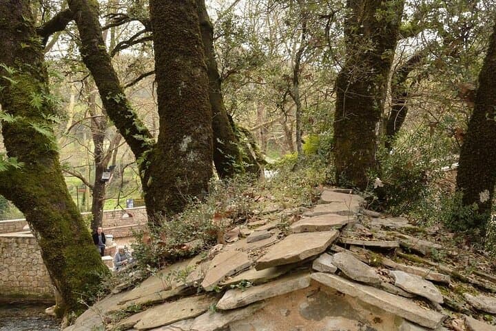 Agia Theodora Temple, Arcadia — The Church Where Trees Grow Through Stone photo 6