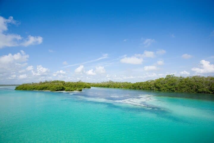 Kayak Through Sian Ka'an: Muyil & Chunyaxché Lagoon Eco-Adventure photo 4