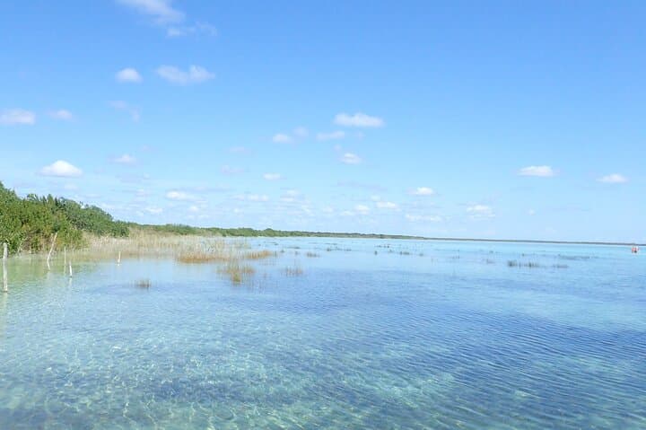 Kayak Through Sian Ka'an: Muyil & Chunyaxché Lagoon Eco-Adventure photo 5