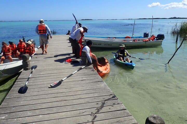 Kayak Through Sian Ka'an: Muyil & Chunyaxché Lagoon Eco-Adventure photo 6