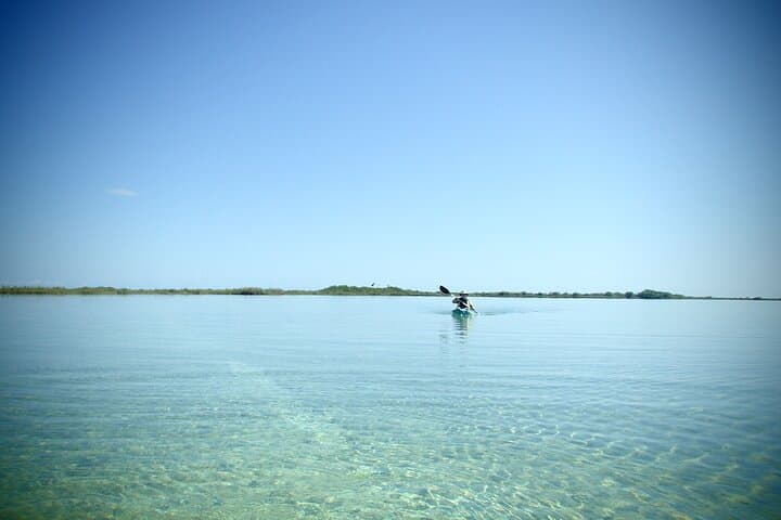 Kayak Through Sian Ka'an: Muyil & Chunyaxché Lagoon Eco-Adventure photo 2