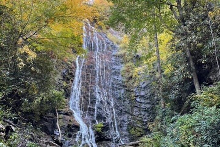 Smoky Mountains Cherokee Elk Safari by Open-Air Jeep: Blue Ridge Views, Waterfalls, and Wildlife photo 4