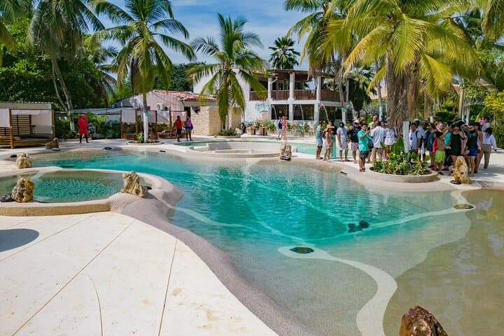 Palmarito Beach Club Day Trip from Cartagena — Private Beach, Pools & Full Food photo 4