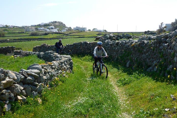 Authentic Mykonos Bike Tour: Ride from Vineyard to Fokos Beach photo 1