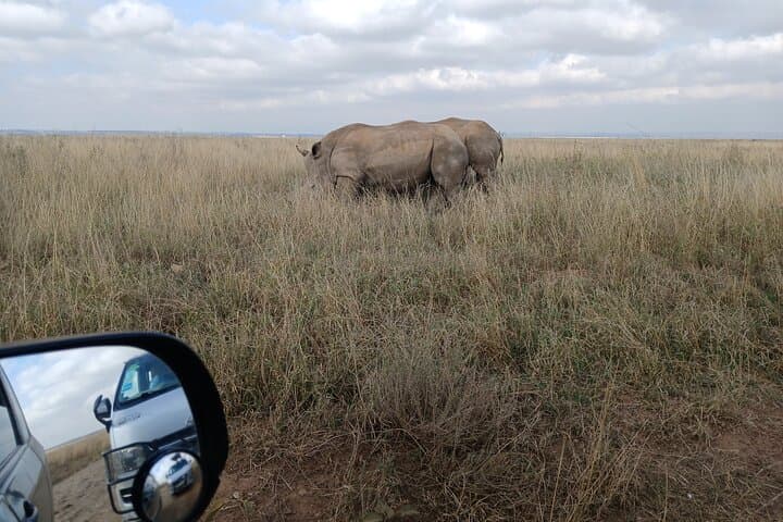 Private Nairobi National Park Safari with Sheldrick or Giraffe Centre Visit photo 5