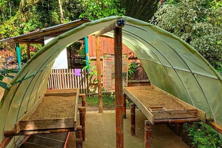 Magic Minca: Waterfalls, Cocoa Rituals and Coffee Tasting from Santa Marta photo 2