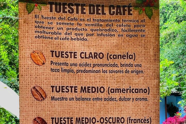 Magic Minca: Waterfalls, Cocoa Rituals and Coffee Tasting from Santa Marta photo 6