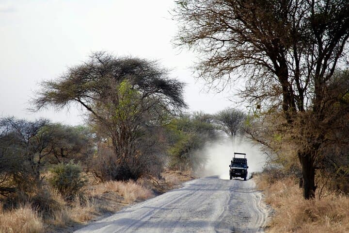 Day Trip to Tarangire National Park — Full-Day Safari Game Drive from Arusha photo 3