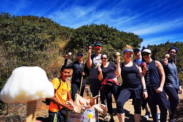 Summit Santa Ana (Ilamatepec): Guided Hike to El Salvador's Highest Volcano photo 5