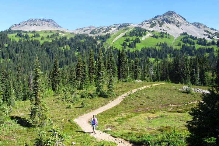 Garibaldi Park Guided Hikes — Garibaldi Lake, Panorama Ridge & Elfin Lakes photo 4