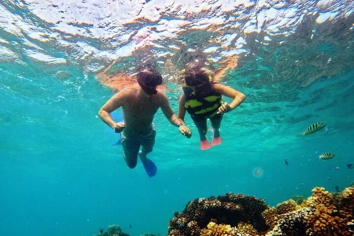 Ride & Slide: Half-Day Snorkelling Adventure in Fiji’s Mamanuca Islands photo 4