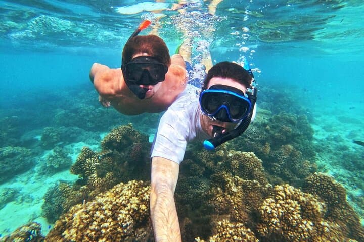 Ride & Slide: Half-Day Snorkelling Adventure in Fiji’s Mamanuca Islands photo 6