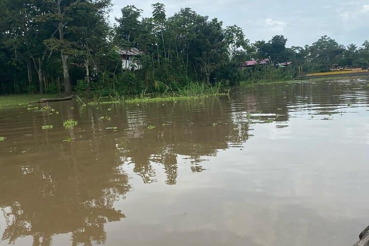 Paddling the Flooded Forest: Canoeing the Amazon from Leticia photo 4