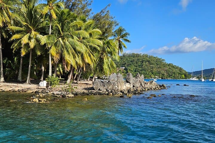 Bora Bora Complete Lagoon Tour — 2-Hour Boat Cruise with Matira Beach Visit photo 4