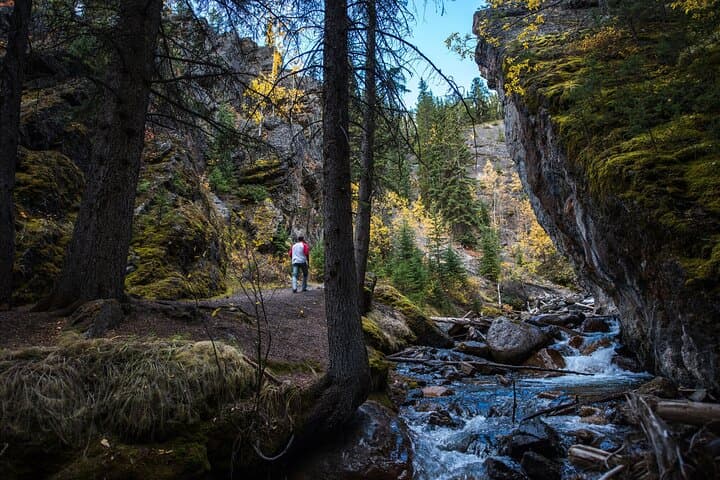 Banff Hot Springs & Hidden Waterfalls Walking Tour | 3-Hour Guided Hike