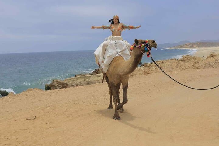 Pacific Beach Camel Ride — Camelback Tours in Los Cabos photo 6