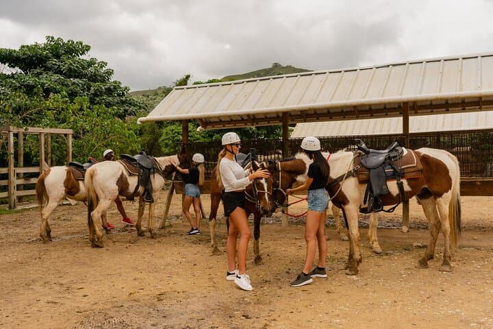 La Hacienda Park Adventure: Zipline, Buggies & Dominican Safari in Punta Cana photo 6