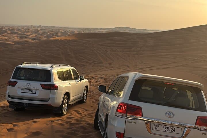 Dubai VIP Desert Safari: Dune Bashing, Camel Ride & Desert BBQ Under the Stars photo 3