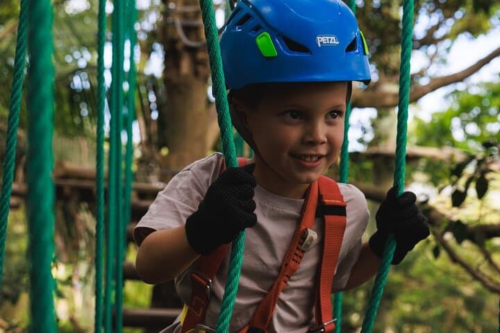Treetops Adventure: Junior Ropes Course in the Dandenong Ranges photo 3