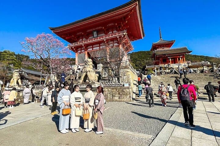 Private 10-Day Japan: Mt Fuji, Nakasendo Way & Cultural Highlights photo 4