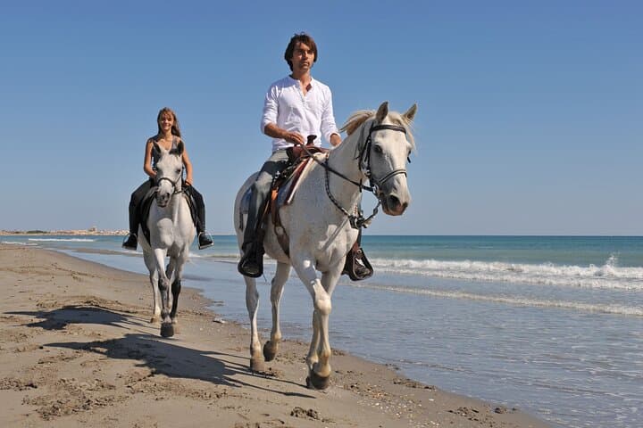 Horseback Riding Across Desert Dunes and Red Sea Beaches in Hurghada photo 6