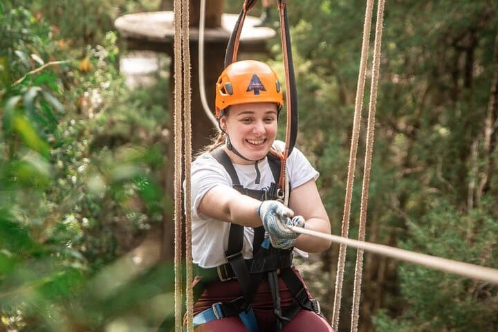 Treetops Adventure Central Coast: Ourimbah State Forest Tree Ropes Course photo 3