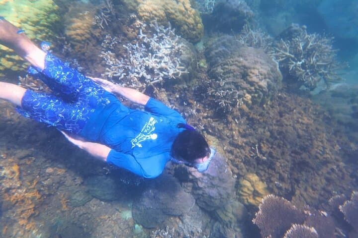Half-Day Kayak and Snorkel Tour at My Khe Beach, Da Nang