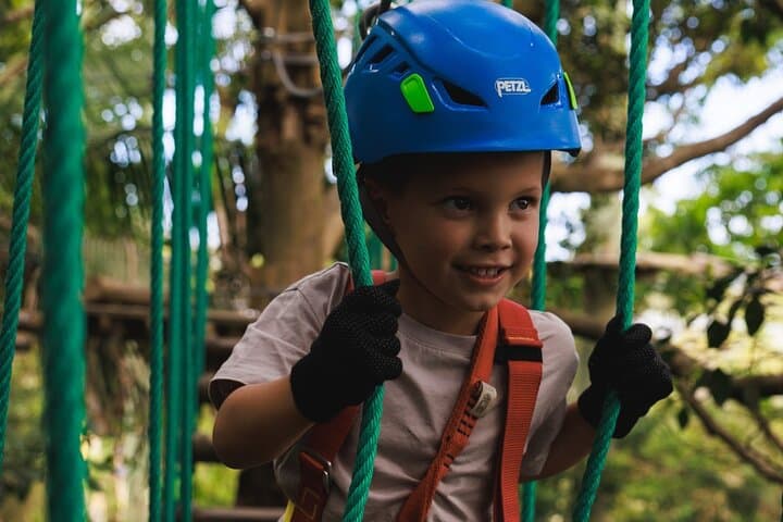 Treetops Adventure Central Coast — Junior Tree Ropes Course in Ourimbah State Forest photo 3