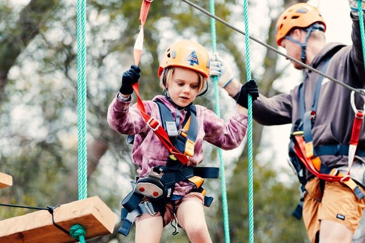 Treetops Adventure Central Coast — Junior Tree Ropes Course in Ourimbah State Forest photo 6