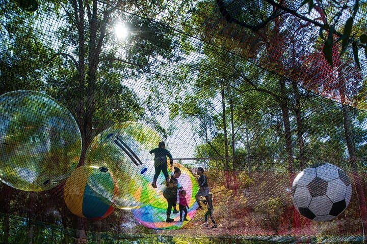Ourimbah Treetops Adventure: NetWorld Inflatable Park in State Forest photo 3