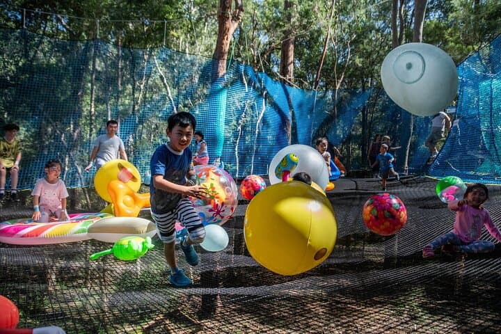 Ourimbah Treetops Adventure: NetWorld Inflatable Park in State Forest photo 5